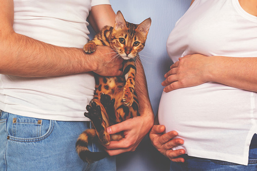 Quels sont les symptômes de la toxoplasmose pendant la grossesse ?