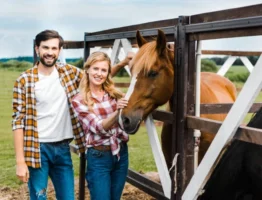 Comment choisir la meilleure pension pour chevaux ?