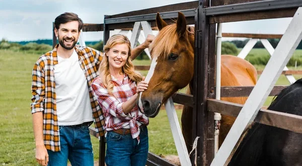 Comment choisir la meilleure pension pour chevaux ?